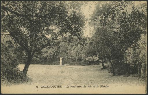 Le Bois de la Blanche / Jack phot., Criqueboeuf-en-Caux.